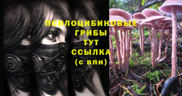 jwh Алзамай