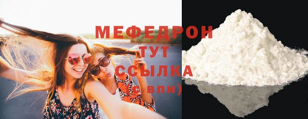 СК Алексин