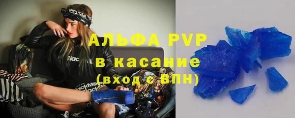 СК Алексин