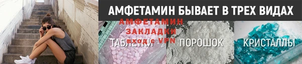 СК Алексин