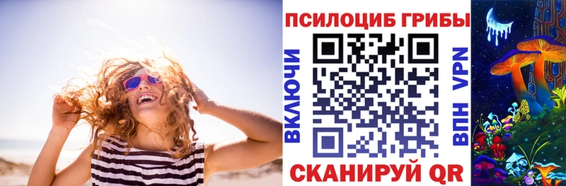 хочу наркоту  Невинномысск  мега ТОР  Псилоцибиновые грибы мицелий 
